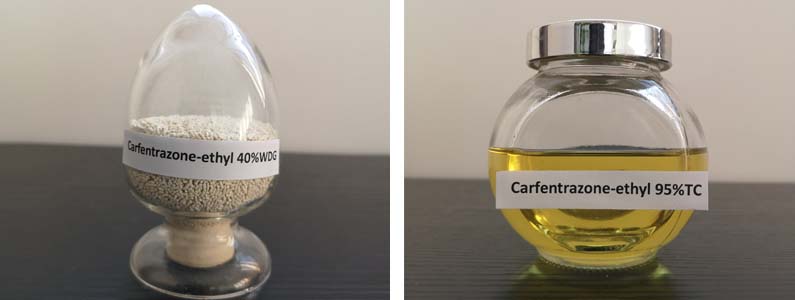 Carfentrazone-ethyl2张产品附图795-300