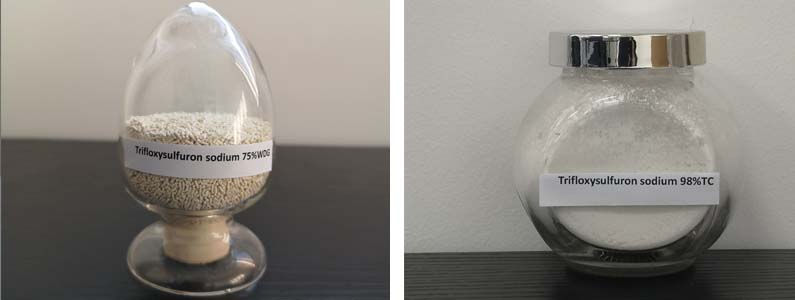 Trifloxysulfuron Sodium2张产品附图795-300