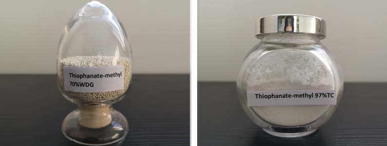 噻吩 - 甲基2张产品附图795-300