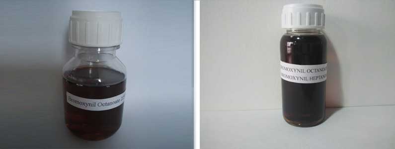 Bromoxynil Octanoate 2张产品附图795-300