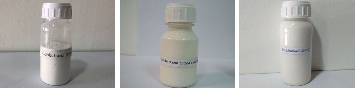 Paclobutrazol3个产品