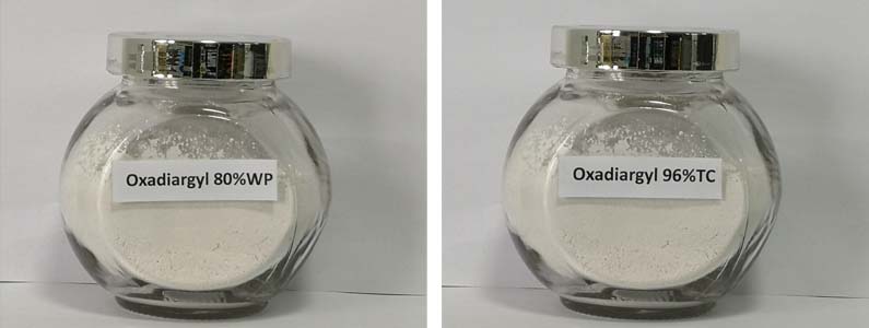 oxadiargyl2张产品附图795-300