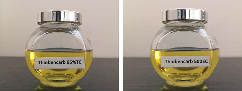 Thiobencarb2张产品图795-300