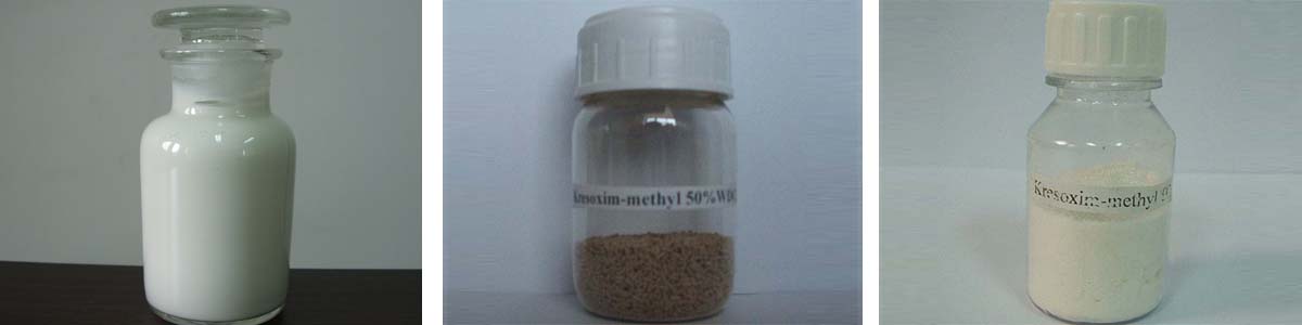 Kresoxim-甲基3个产品