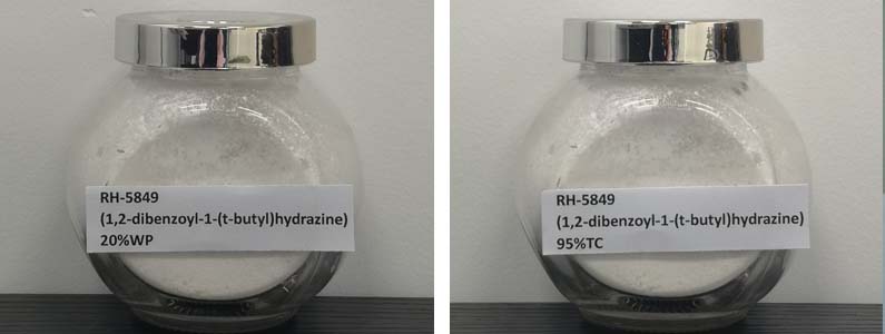 RH-58492张产品附图795-300