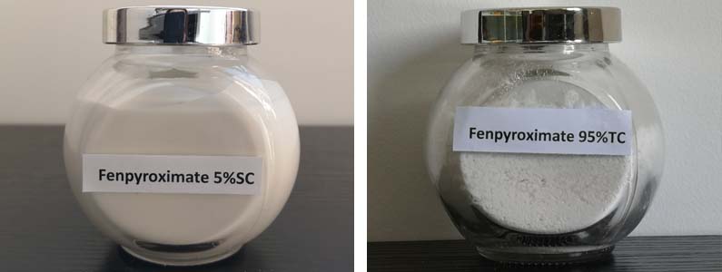 FenpyRoximate2张产品附图795-300