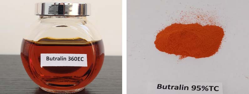 Butralin2张产品附图795-300