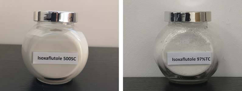 isoxaflutole2张产品附图795-300