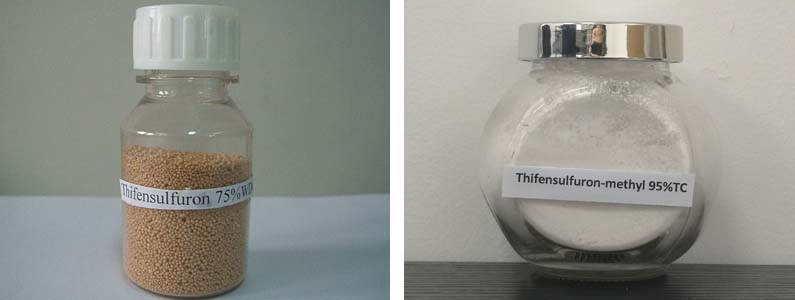 Thifensulfuron-methyl2张产品图795-300