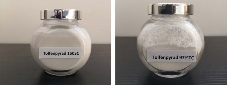 TolfenPyrad2张产品附图795-300