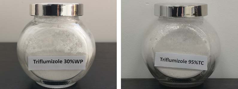Triflumizole2张产品附图795-300