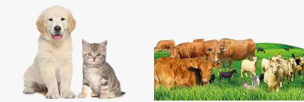 2张防治对象组图594-200