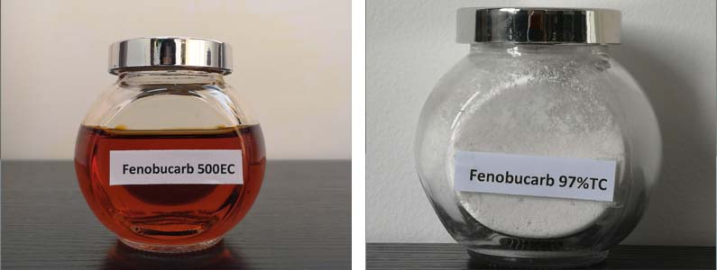 Fenobucarb2张产品附图795-300