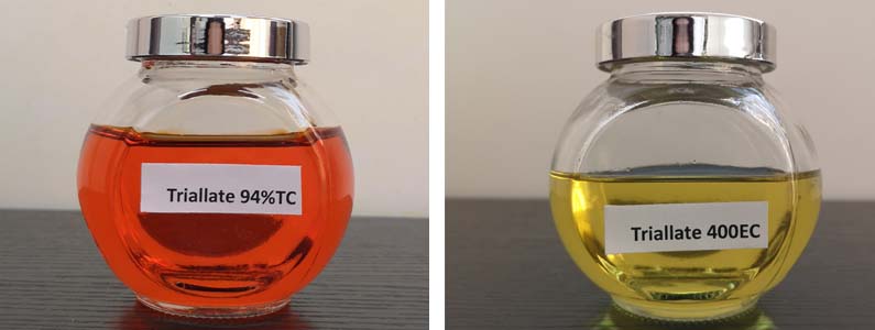 TriveLate2张产品附图795-300