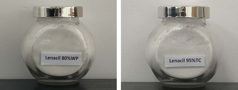 Lenacil2张产品附图795-300