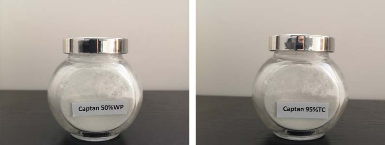 Captan2张产品附图795-300