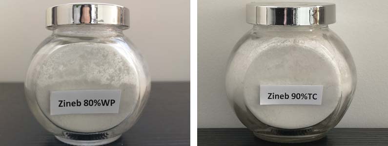 Zineb2张产品附图795-300