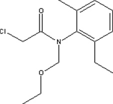 acetochlor.