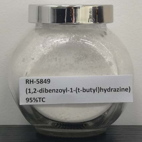 RH-5849(1,2-二苯甲酰基-1-(叔丁基)肼)