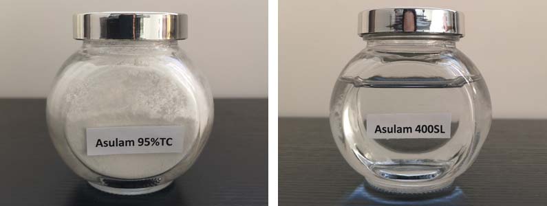 asulam2张产品附图795-300