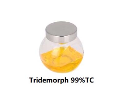 Tridemorph1张产品附图390-300