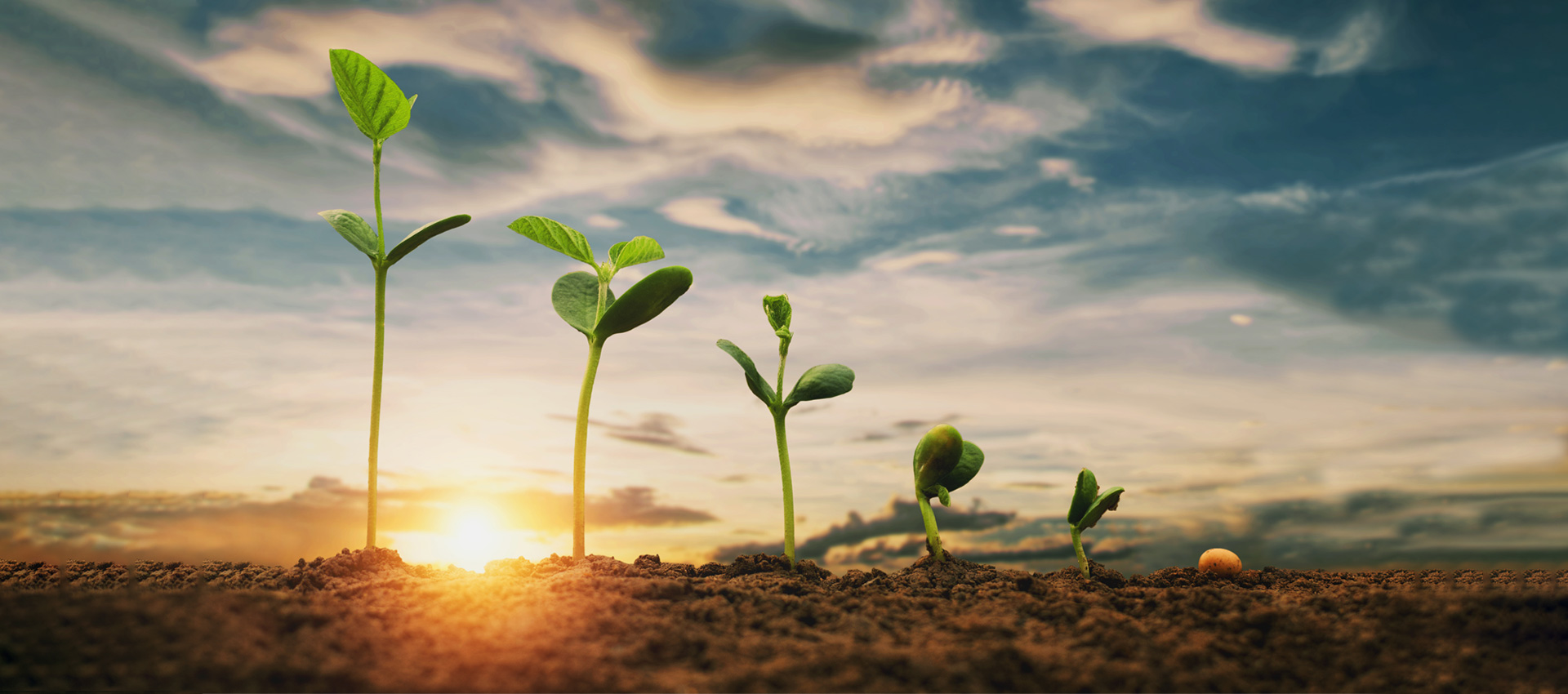 one stop crop protection solution