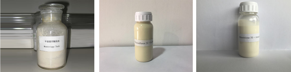 Mesotrione3个产品