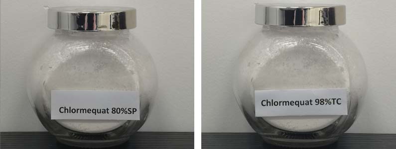 Chlormequat2张产品图795-300