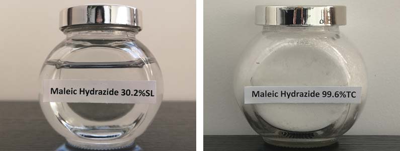 马来酸肼2张产品附图795-300