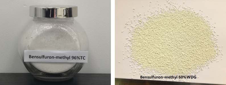 Bensulfuron-methyl2张产品图795-300