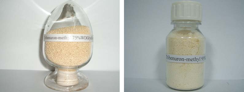 Tribenuron-Methyl2张产品图795-300