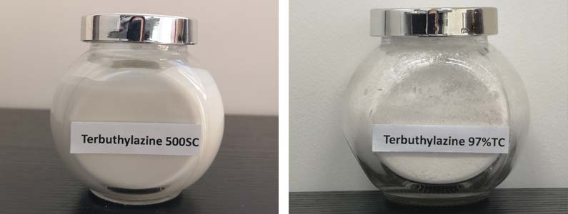 Terbuthylazine2张产品图795-300