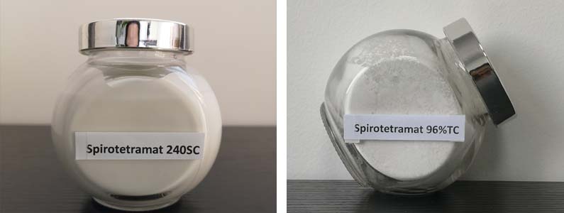 spirotetramat2张产品图795-300