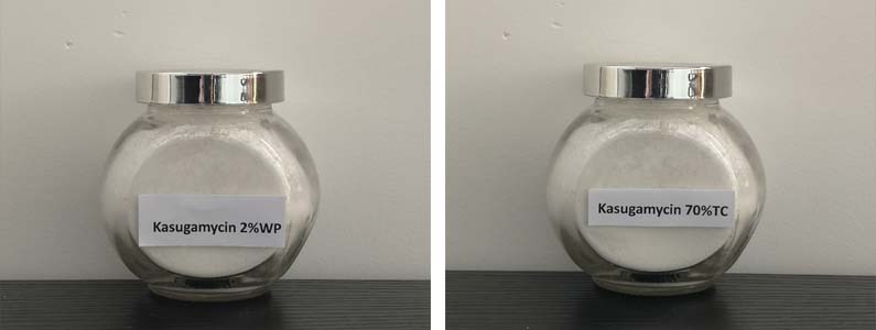 Kasugamycin2张产品附图795-300