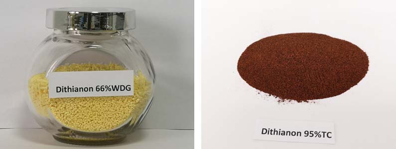 DITHIANON2张产品附图795-300