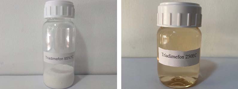 Triadimefon2张产品附图795-300