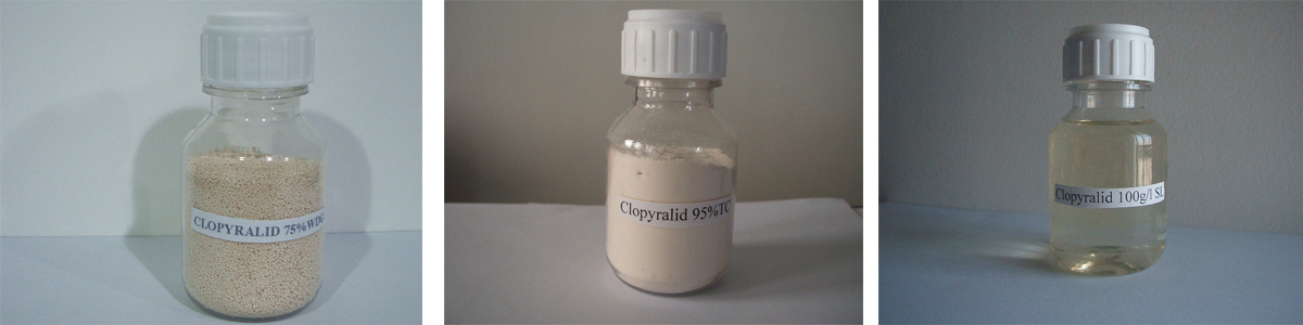 Clopyralid 3个产品