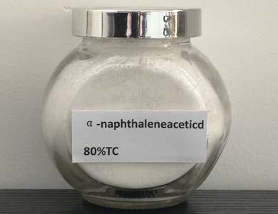 α-naphthaleneaceticd1张产品附图390-300