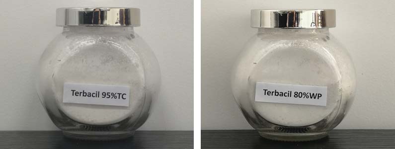 Terbacil2张产品附图795-300