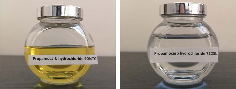 丙种甘油盐酸盐（2）