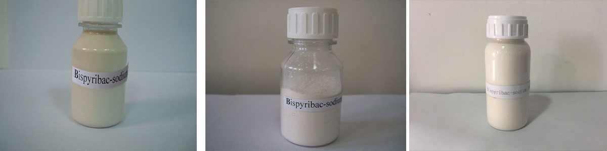 Bispyribac-Sodium 3个产品
