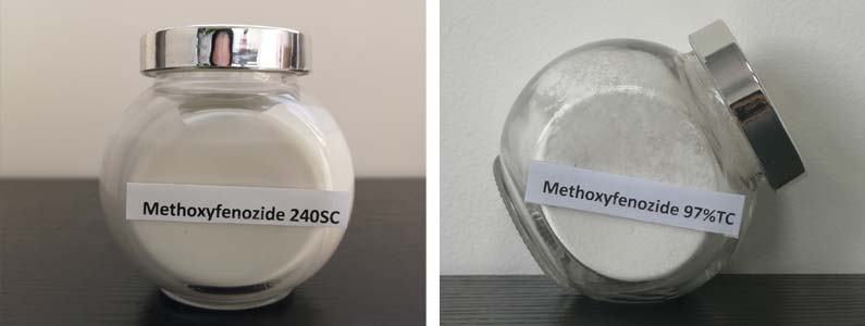 甲氧基芬佐2张产品附图795-300