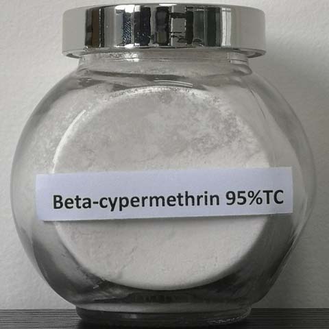 \u003Ci>Beta-cypermethrin;\u003C\/i> \u003Cb>β-氯氰菊酯；\u003C\/b> \u003Ci>d-trans-beta-Cypermethrin；66841-24-5；pyrethroid broad-spectrum insecticide\u003C\/i> \u003Cb>d-trans-beta-Cypermethrin；66841-24-5；拟除虫菊酯广谱杀虫剂\u003C\/b>