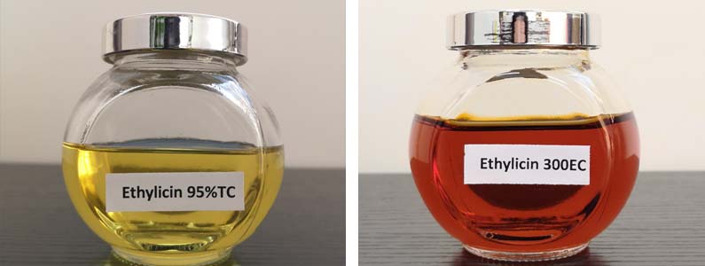 乙酸丁蛋白2张产品附图795-300