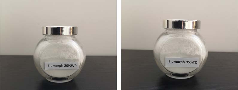 FLUMORPH2张产品附图795-300