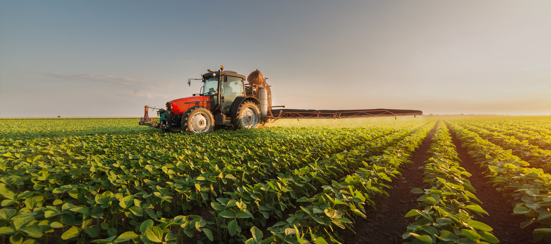 leading supplier of agrochemicals