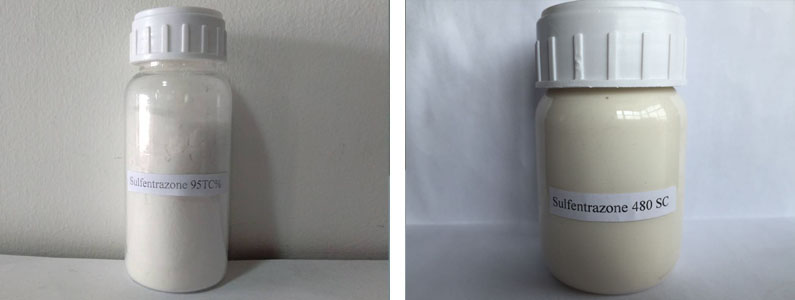Sulfentrazone2张产品附图795-300