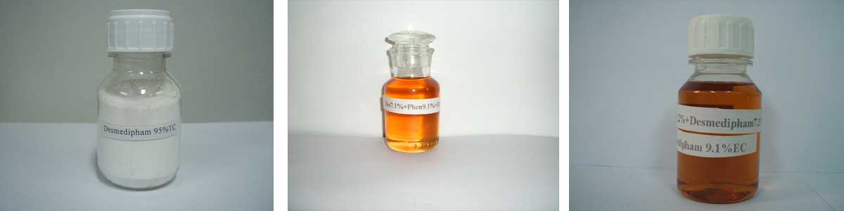 desmedipham3个产品