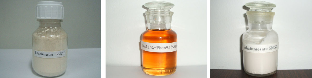 ethofumesate3个产品