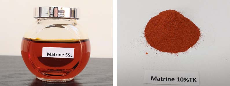 MITRINE2张产品附图795-300